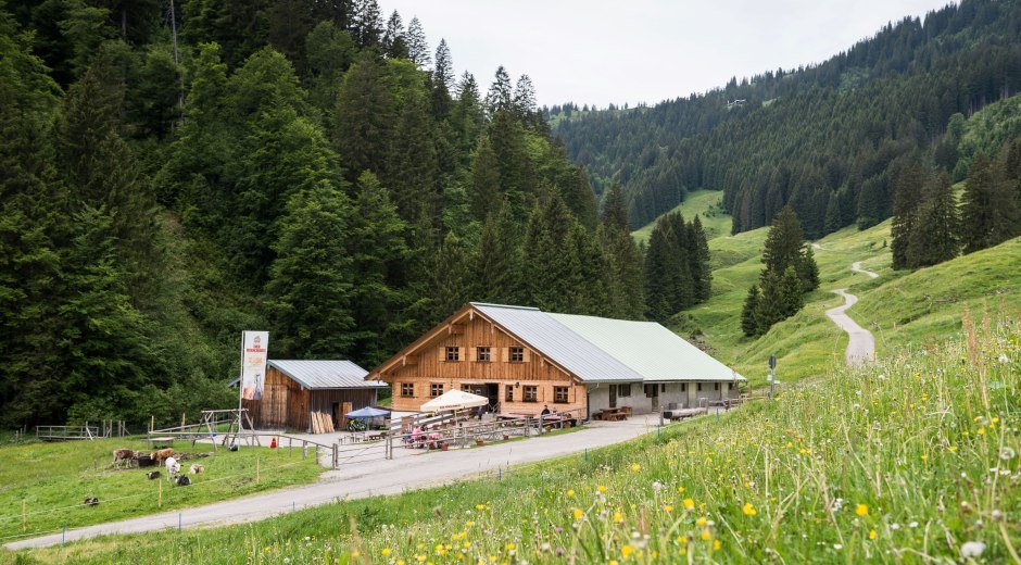 Alpe Zunkleiten im Bolgental © Tourismus Hörnerdörfer, F. Kjer