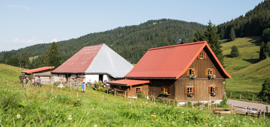 Alpe Schattwald © Tourismus Hörnerdörfer, F. Kjer