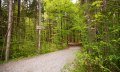 Waldbaden in Fischen im Allgäu © Tourismus Hörnerdörfer