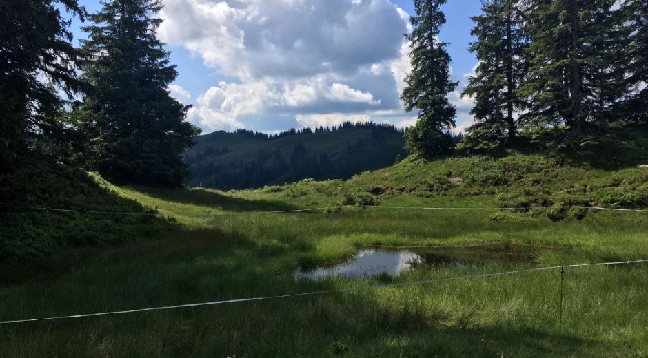 Hochmoor