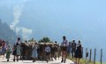 Einzug der Alpe - Viehscheid in Balderschwang © Simon Heidegger