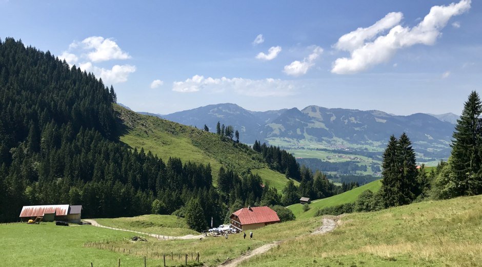 Aussicht von oberhalb der Gaisalpe auf die Hörnerkette © Tourismus Hörnerdörfer, M. Redecker