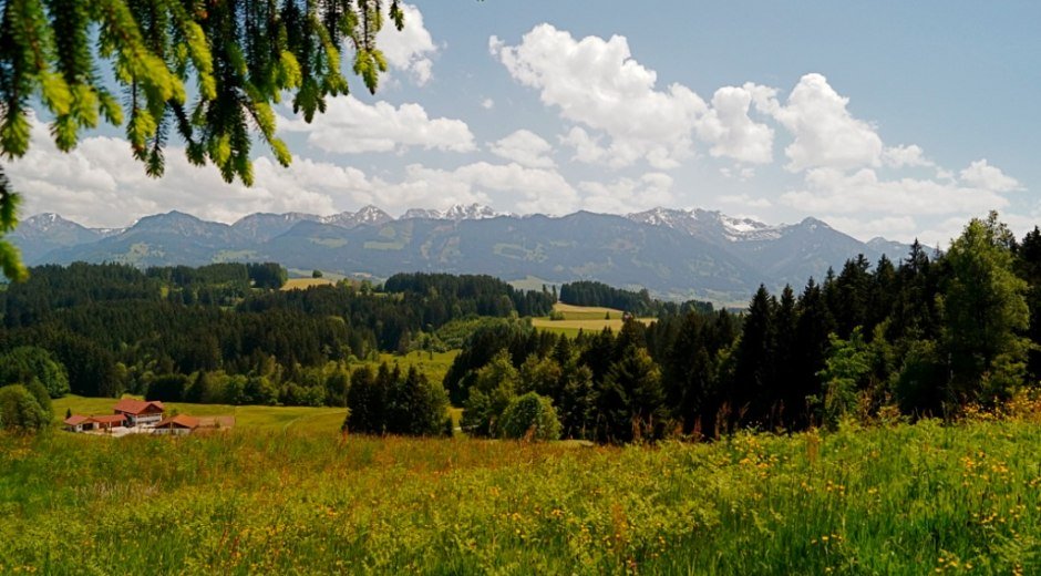 Blick auf die Sonnenköpfe
