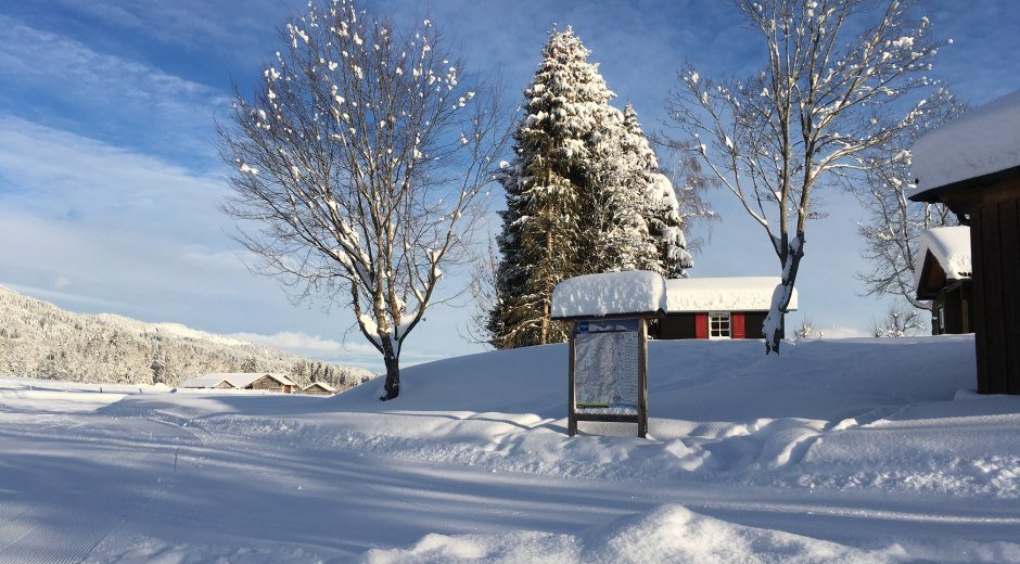 Kitzebichl Loipe - Langlaufen in Bolsterlang © Tourismus Hörnerdörfer, S. Salzberger