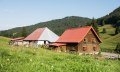 Alpe Schattwald im Rohrmoostal © Tourismus Hörnerdörfer, F. Kjer