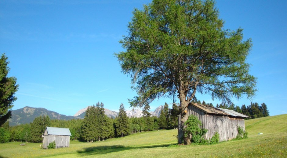 Auf dem Weg von Aumühle nach Maderhalm © Tourismus Hörnerdörfer, MA
