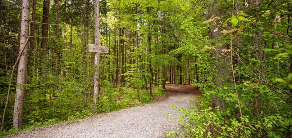 Waldbaden in Fischen im Allgäu © Tourismus Hörnerdörfer