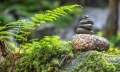 Wanderung der Sinne © AdobeStock