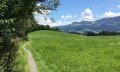 Schmaler Pfad Richtung Obermühlegg © Tourismus Hörnerdörfer GmbH