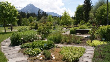 Kräutergarten Fischen