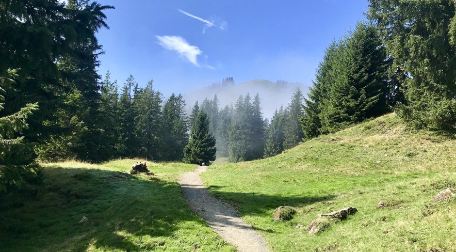 Hörner-Panoramatour © Tourismus Hörnerdörfer GmbH