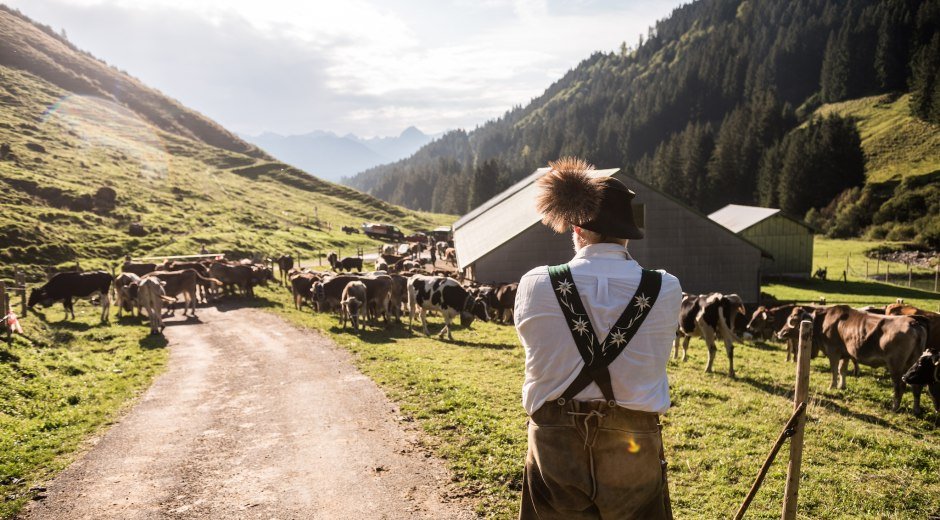 Alpabtrieb in den Hörnerdörfern © Tourismus Hörnerdörfer, F. Kjer