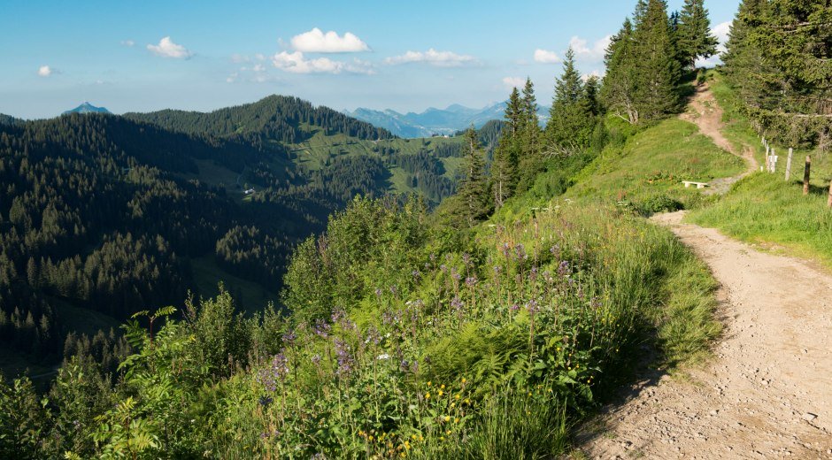 Auf dem Weg zum Riedberger Horn © Tourismus Hörnerdörfer, K.P. Kappest
