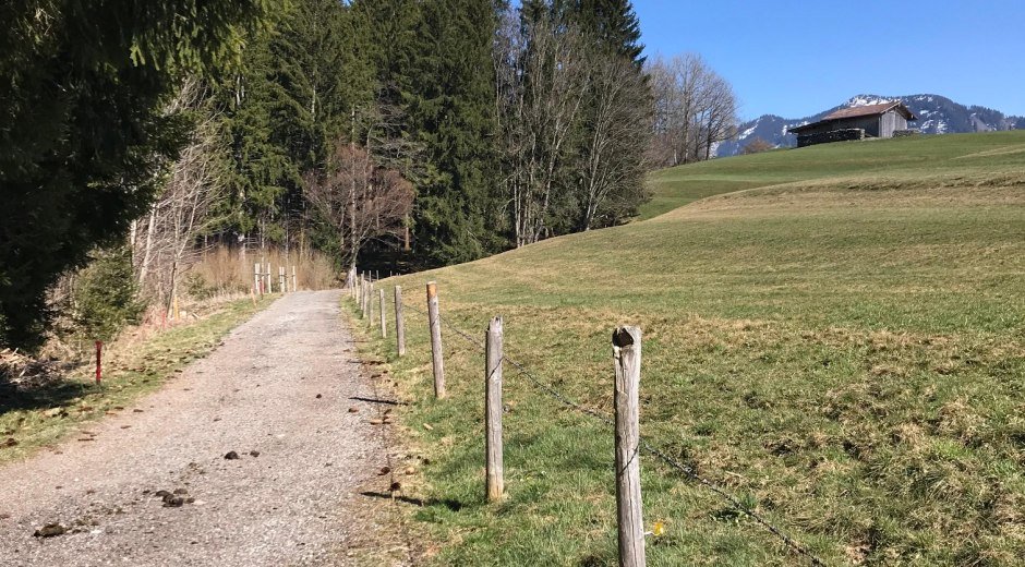 Amselweg Richtung Maderhalm oder Oberdorf