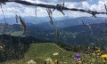 Familienwanderung über Ochsenkopf zum Riedberger Horn - Kletterfreuden für größere Kinder © Tourismus Hörnerdörfer, L. Renn