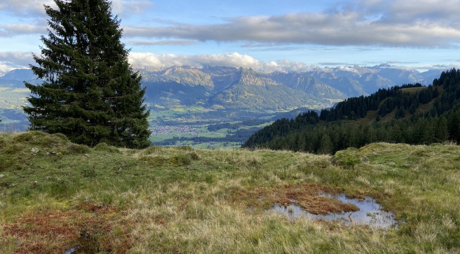 Ausblick auf der Hörner-Panoramatour © Tourismus Hörnerdörfer GmbH
