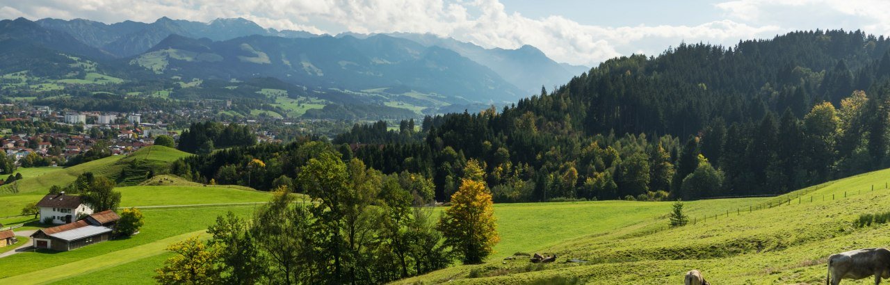 Landschaftsaufnahme mit mehreren Kühen © Dominik Luschtenetz im Auftrag AGT