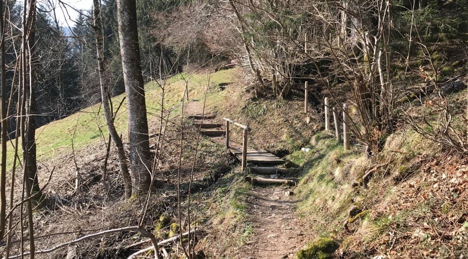 Bergblick Wanderweg