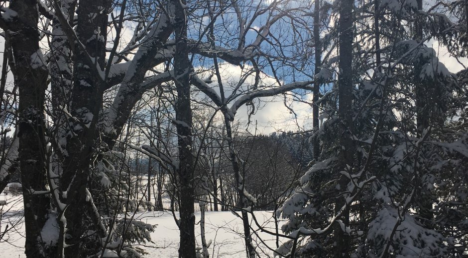 Winterspaziergang - Beste Aussichten zwischen Untermühlegg und Muderbolz
