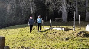 Nordic Walking im Frühling © Oberstaufen Tourismus Marketing GmbH