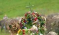 Kranzkuh beim traditionellen Almabtrieb/ Viehscheid im Allgäu. © Dominic Ultes