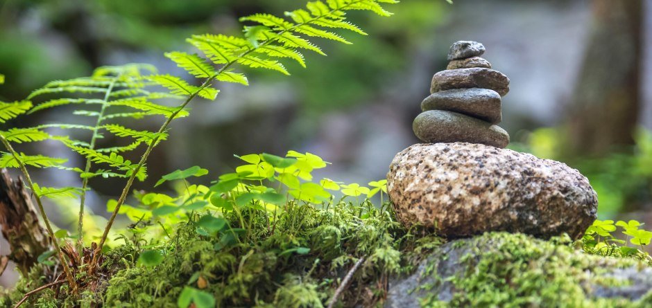 Wanderung der Sinne © AdobeStock