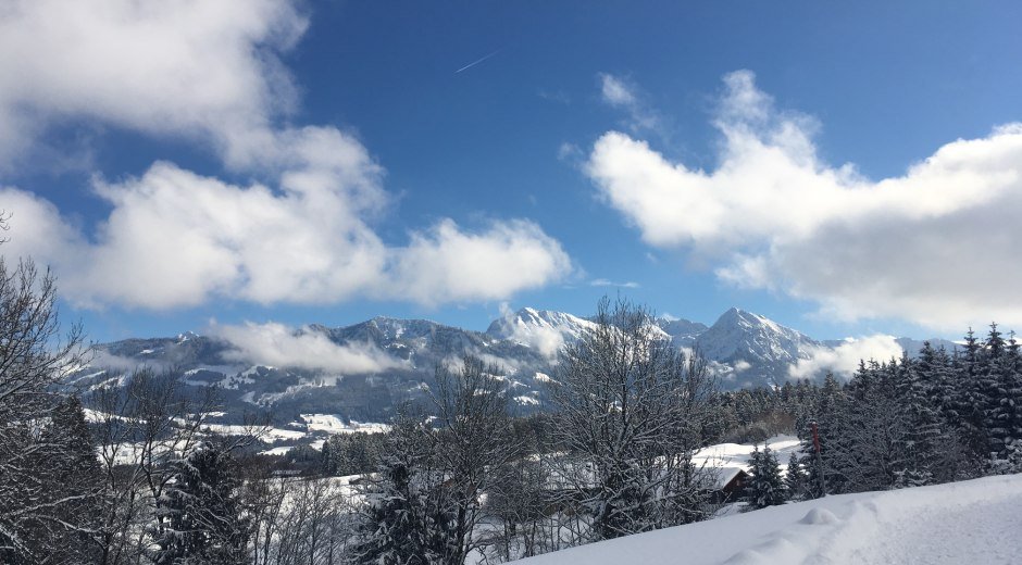 Blick nach Riedle und auf die Allgäuer Alpen © Tourismus Hörnerdörfer, S. Salzberger