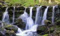 Kleiner idyllischer Wasserfall eine oberallgäuer Baches © Dominic Ultes
