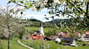 Missen im Frühling © Gerwig Löffelholz