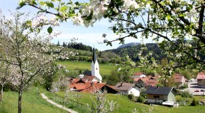 Missen im Frühling © Gerwig Löffelholz