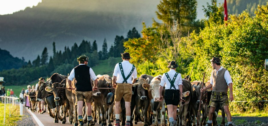 Viehscheid Oberstaufen © Oberstaufen Tourismus, Moritz Sonntag