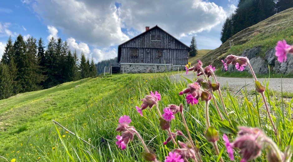 Rundweg ums Ofterschwanger Horn © Tourismus Hörnerdörfer, M. Redecker