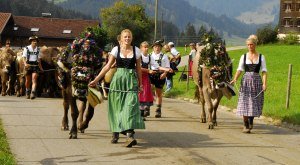 Viehscheid Gunzesried © Tourismus Hörnerdörfer, S. Bruckmeier