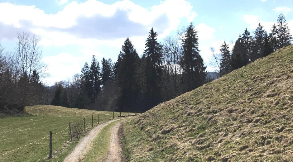 Feldweg zurück nach Bolsterlang © Tourismus Hörnerdörfer