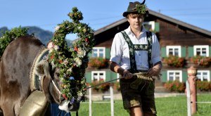 Viehscheid Gunzesried © Michael Vivell