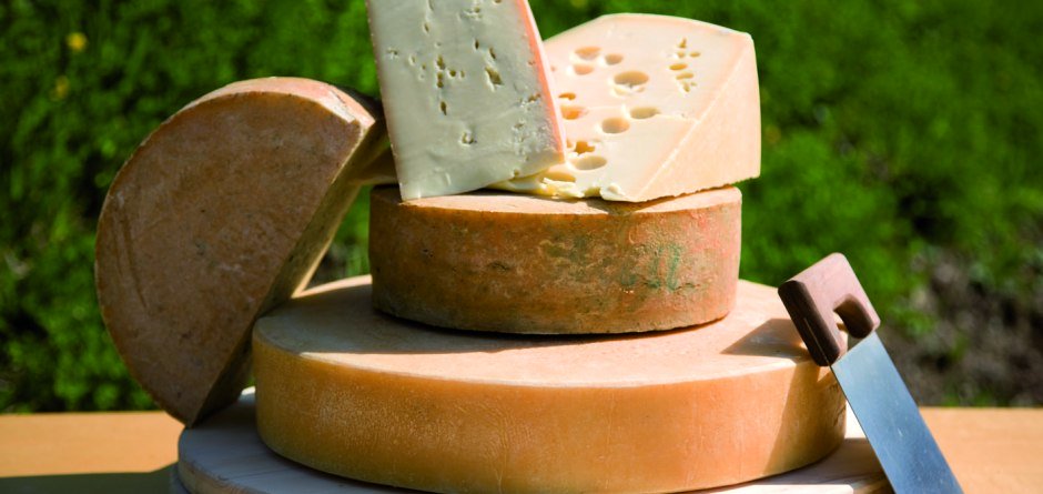 Käse