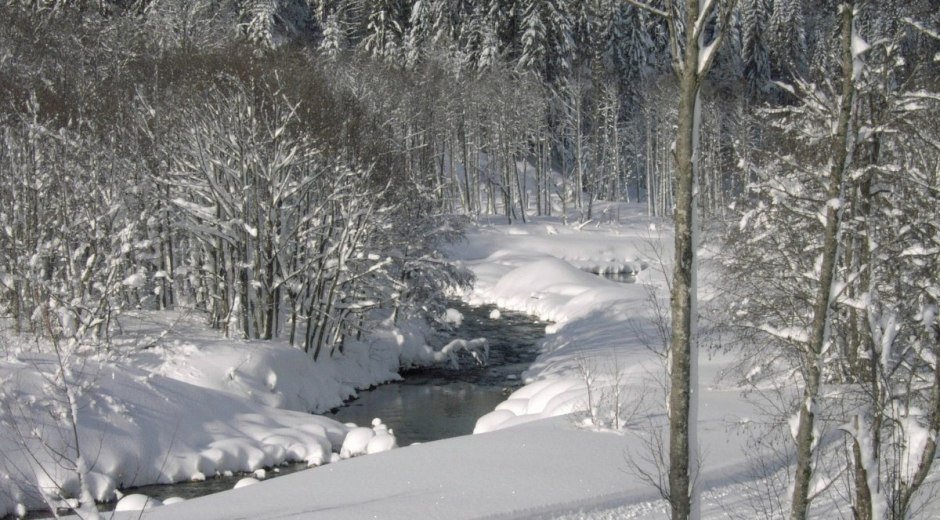 Winterwandern am Bolgenachweg © Tourismus Hörnerdörfer, MA