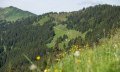 Höhen-Wanderweg zwischen Riedbergerhorn uns Bergstation Hörnerbahn © Tourismus Hörnerdörfer, F. Kjer