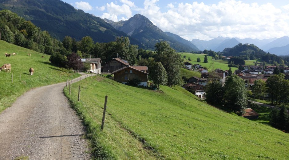 Rückweg Richtung Oberthalhofen © Tourismus Hörnerdörfer GmbH
