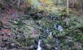 Sagenweg - die wilden Fräulein © Tourismus Hörnerdörfer GmbH