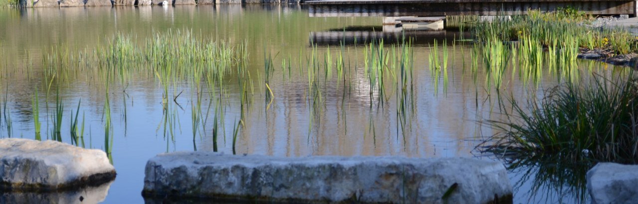 Idylle am Badeteich Wiwa © Michael Ebersbach