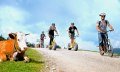 Downhill Roller in Ofterschwang im Allgäu © Tourismus Hörnerdörfer, ProVisionMedia