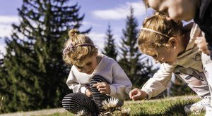 Auf Erkundungstour durch die Natur © Oberstaufen Tourismus Marketing GmbH, Moritz Sonntag