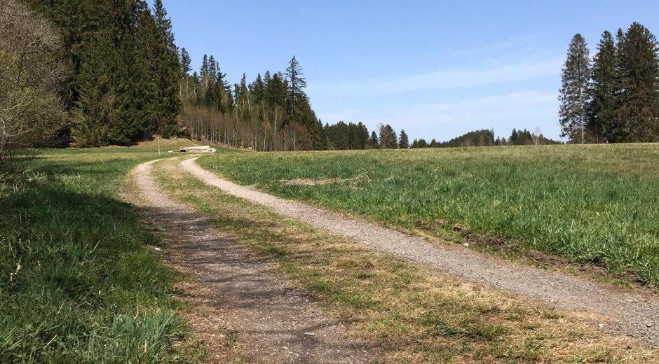 Die Teerstraße geht in einen Wiesenweg über
