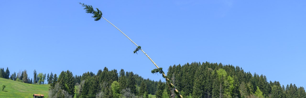 Maibaumaufstellen in Hüttenberg © Alexander Rochau