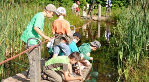 Expedition Wassertiere © Naturerlebniszentrum Allgäu (NEZ)