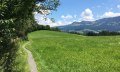 Saftige Wiesen © Tourismus Hörnerdörfer GmbH