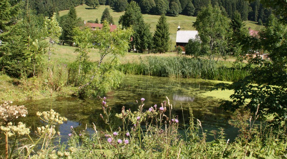 Rohrmoos © Tourismus Hörnerdörfer, MA