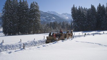 Kutschfahrt © Tourismus Hörnerdörfer, R. Retzlaff Kutschfahrt © Tourismus Hörnerdörfer, R. Retzlaff