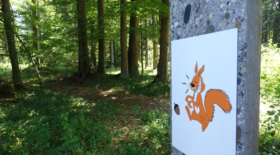 Kindertore im Eichhörnchenwald